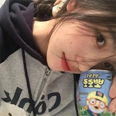 克努特和它的朋友们