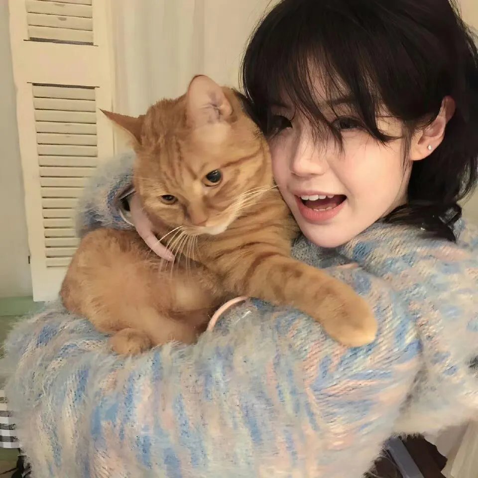 切尔诺贝利·禁区电影版